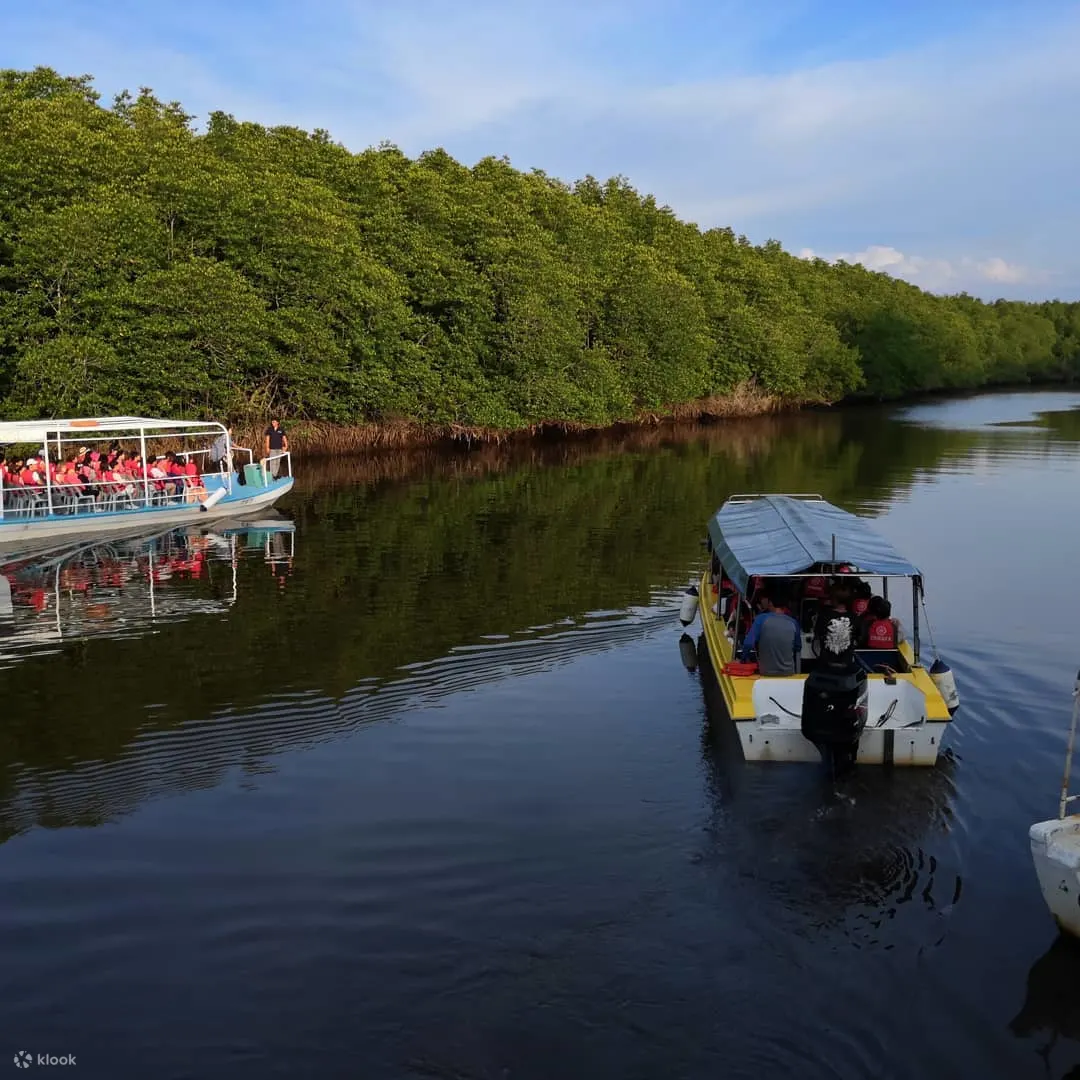 kawa kawa fireflies cruise