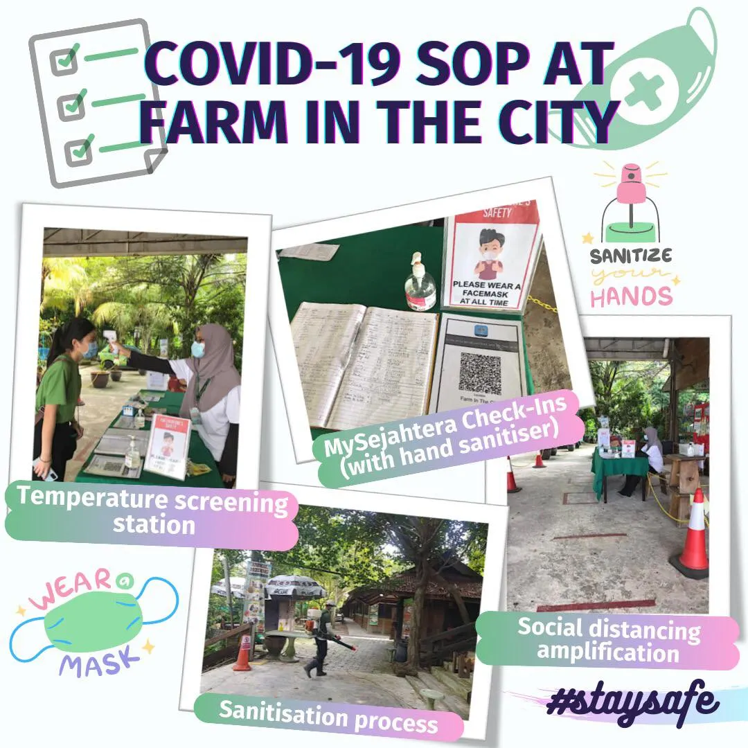 Farm In The City Ticket Klook Malaysia