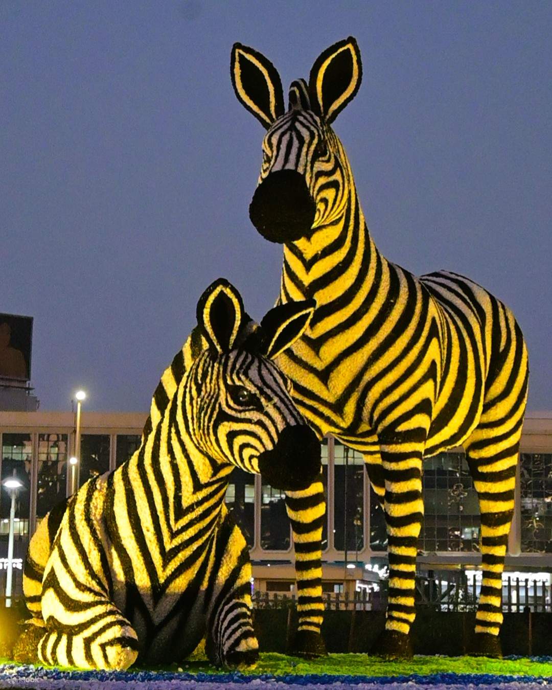 Dubai Garden Glow Ticket