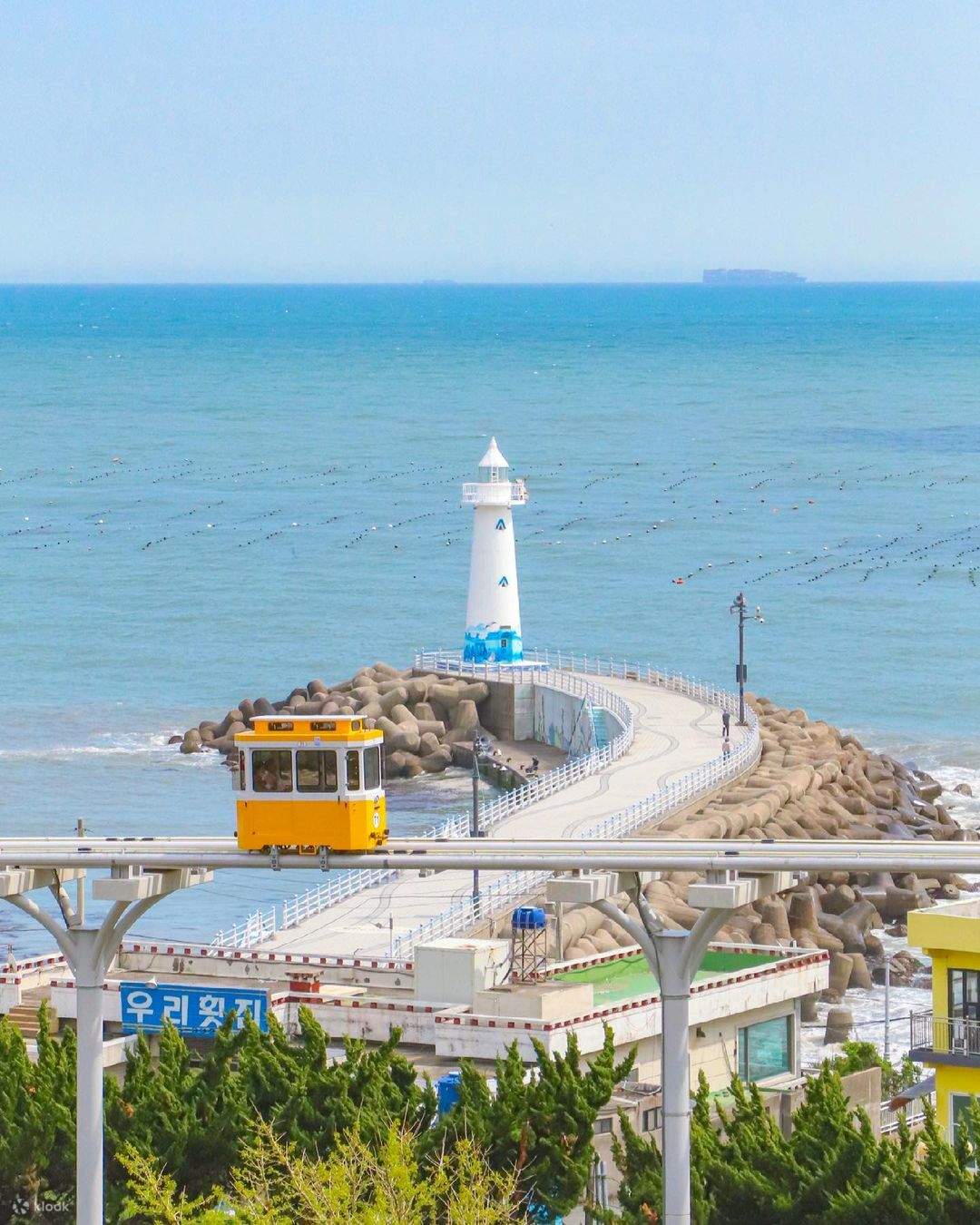 Private Photo Shoot in Busan - Capture Local Korea Moments