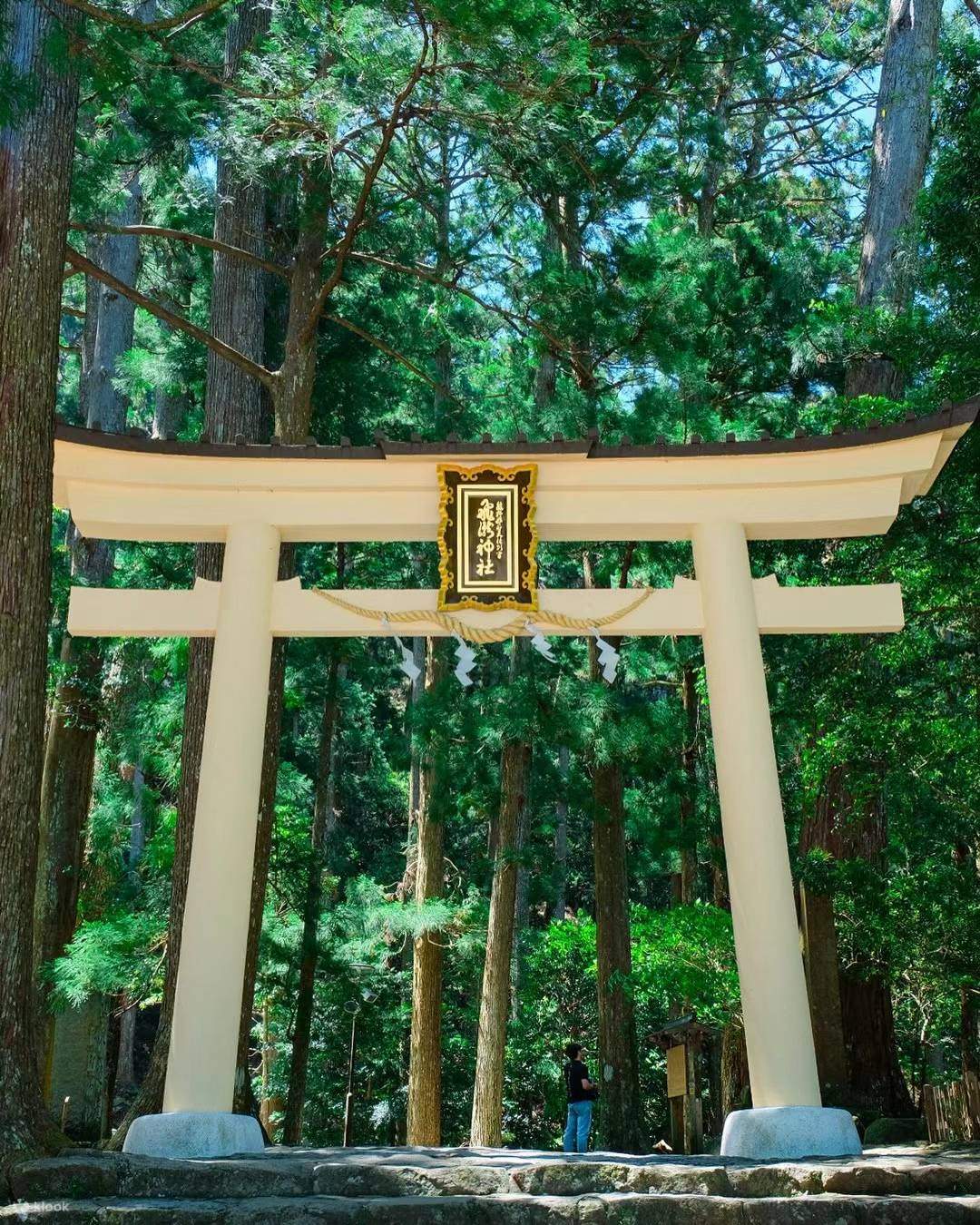 Kumano Kodo Walking Trail & Nachi Falls One Day Tour from Nagoya