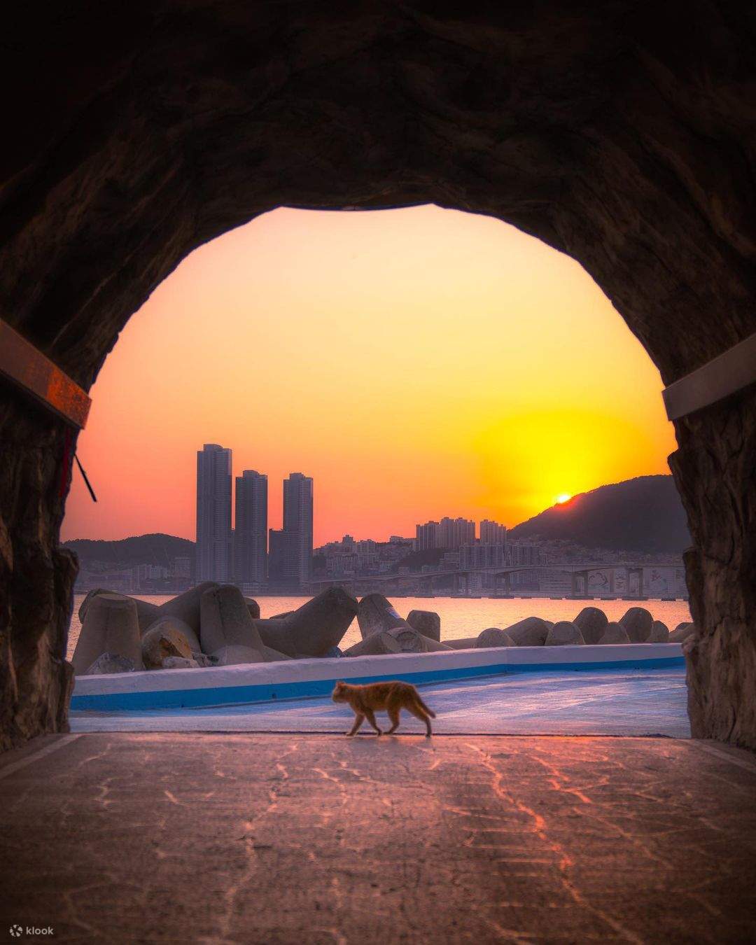 Private Photo Shoot in Busan - Capture Local Korea Moments