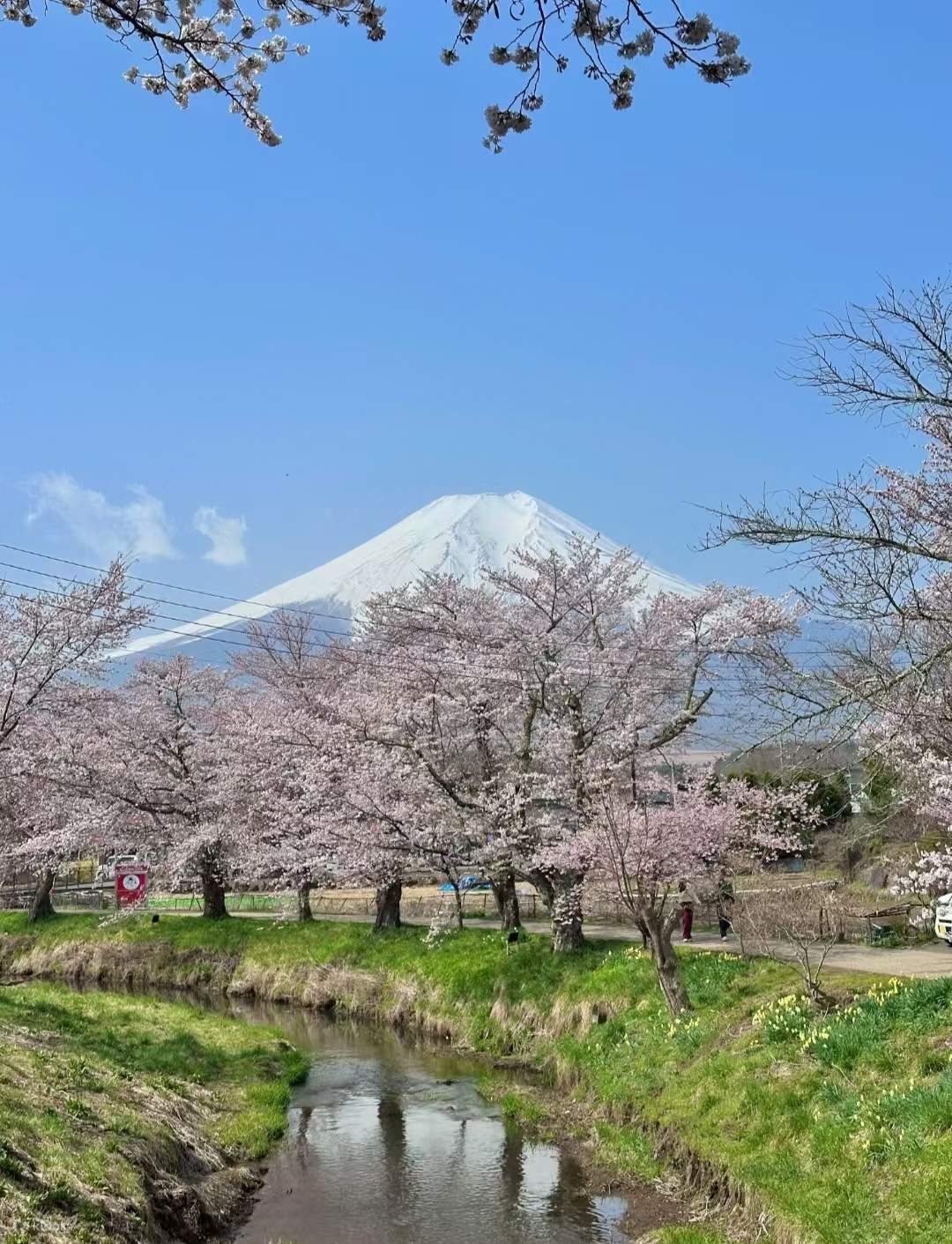 [Tokyo Limited Small Group] Tokyo Mount Fuji Onsen & Kawaguchiko ...