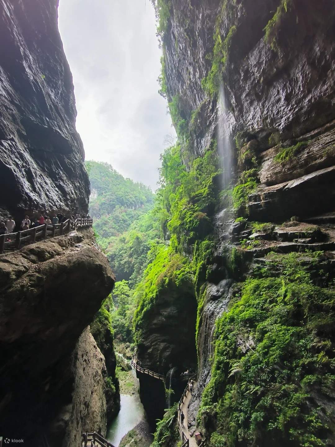 重庆武隆二日游(天生三桥+龙水峡地缝+仙女山森林公园+乌江画廊+2-8人小团/大团可选+部分商圈上门接+含景区门票) - Klook客路