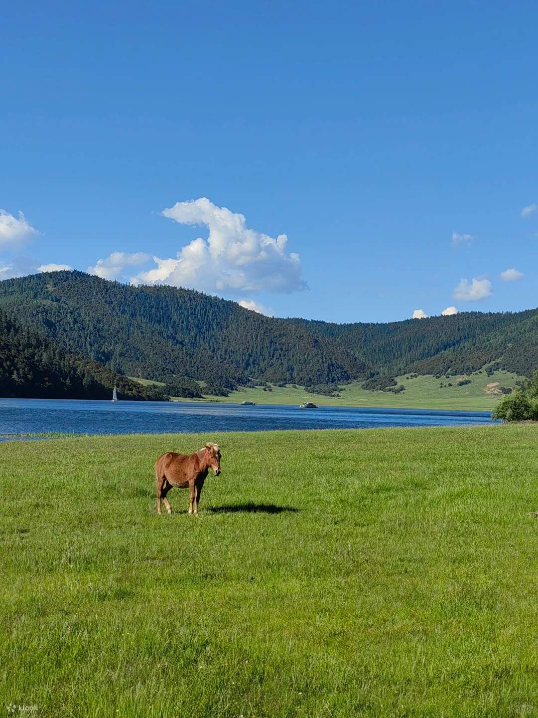 Pudacuo is het eerste nationale park en een 5A-klasse schilderachtige plek op het vasteland van China, gelegen in de kernzone van het UNESCO-werelderfgoed