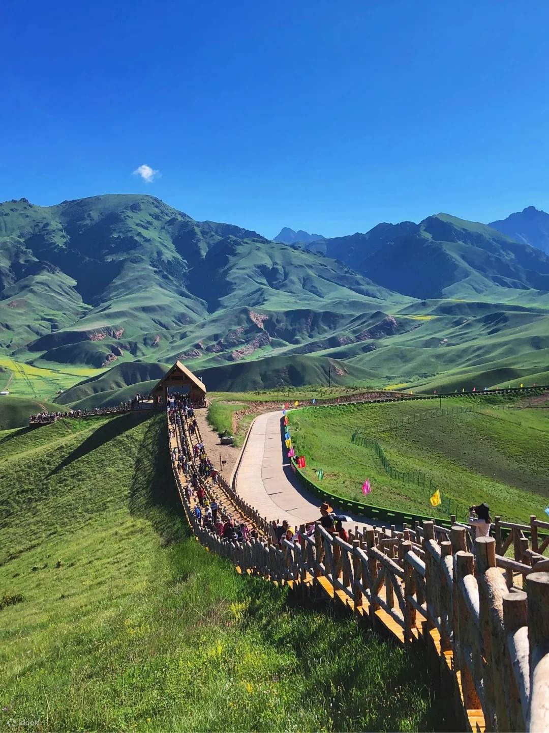 Xining Shika Snow Peak + Zhuoer Mountain Qilian Grassland One-Day Tour ...