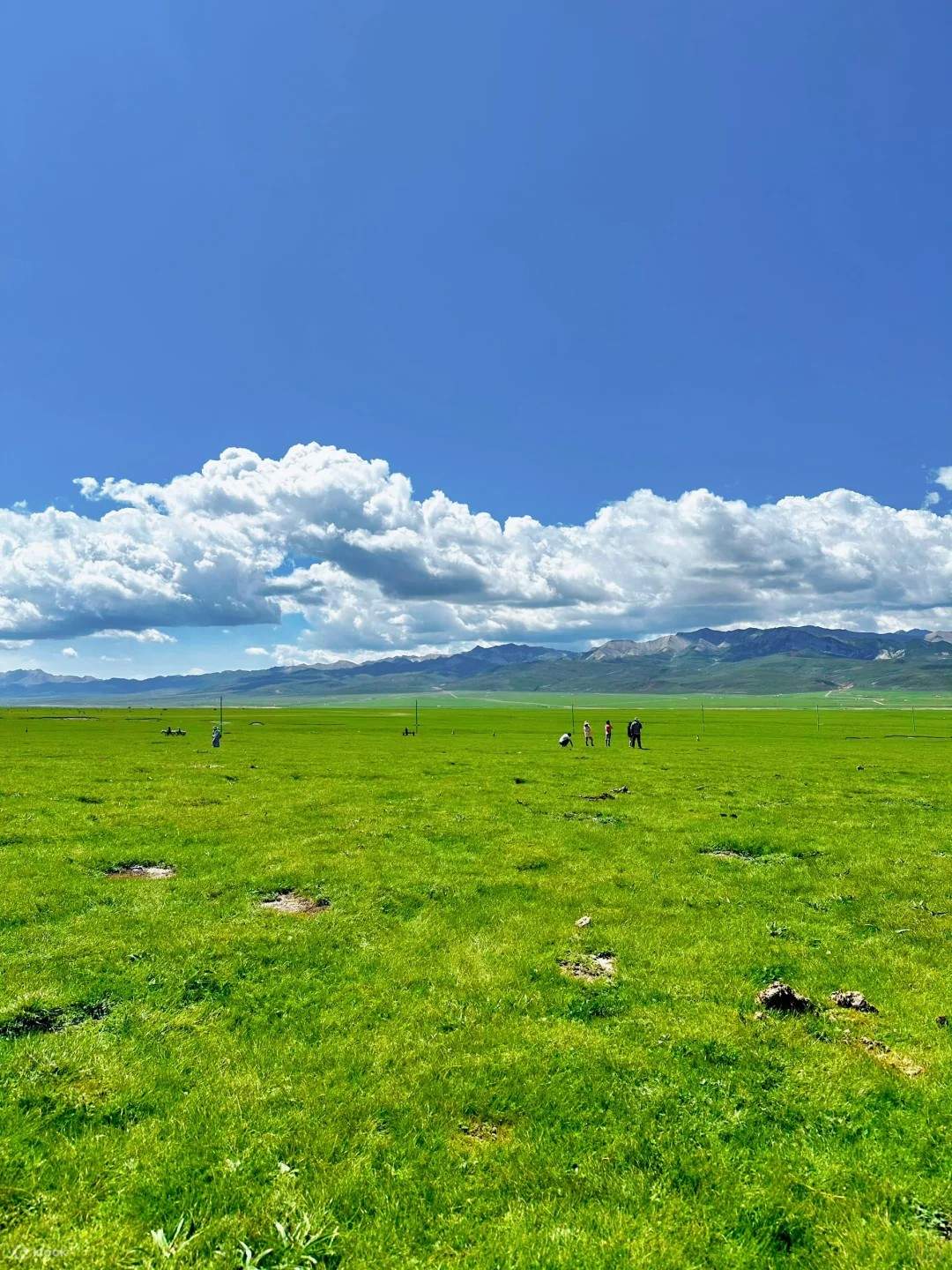 Xining Shika Snow Mountain + Zhuoer Mountain Qilian Grassland One