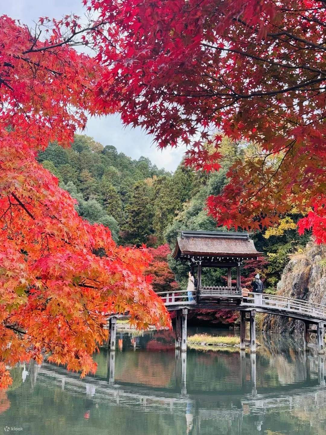 Nagoya Travel Guide: Obara Cherry Blossoms and Maple Season