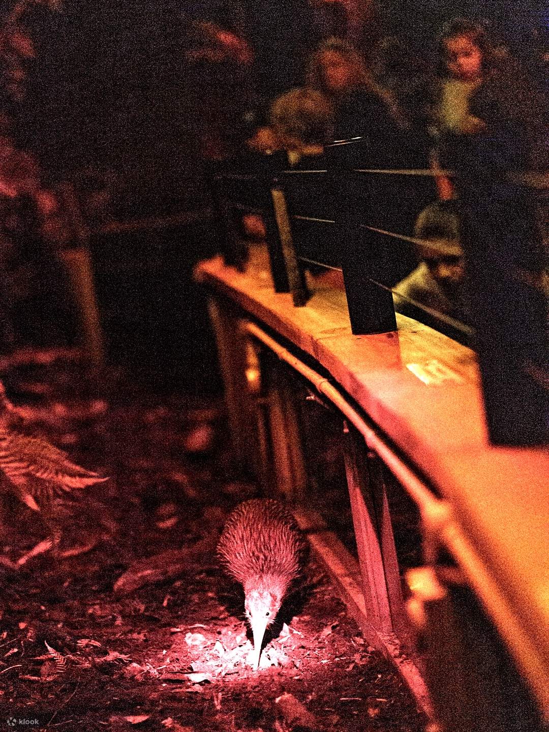 Vé Trung Tâm Động Vật Hoang Dã West Coast