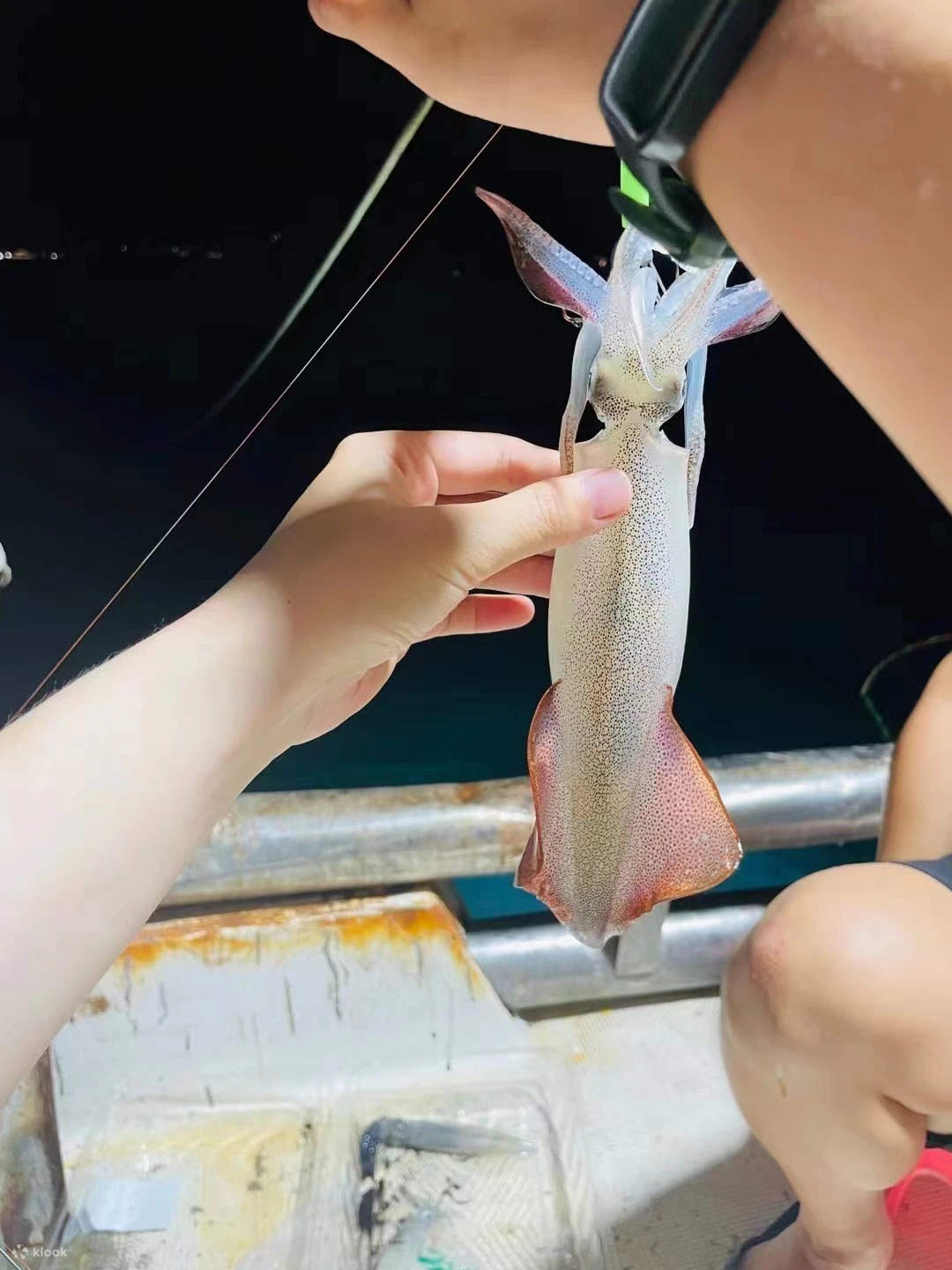 深圳大鵬夜釣魷魚之旅- Klook香港