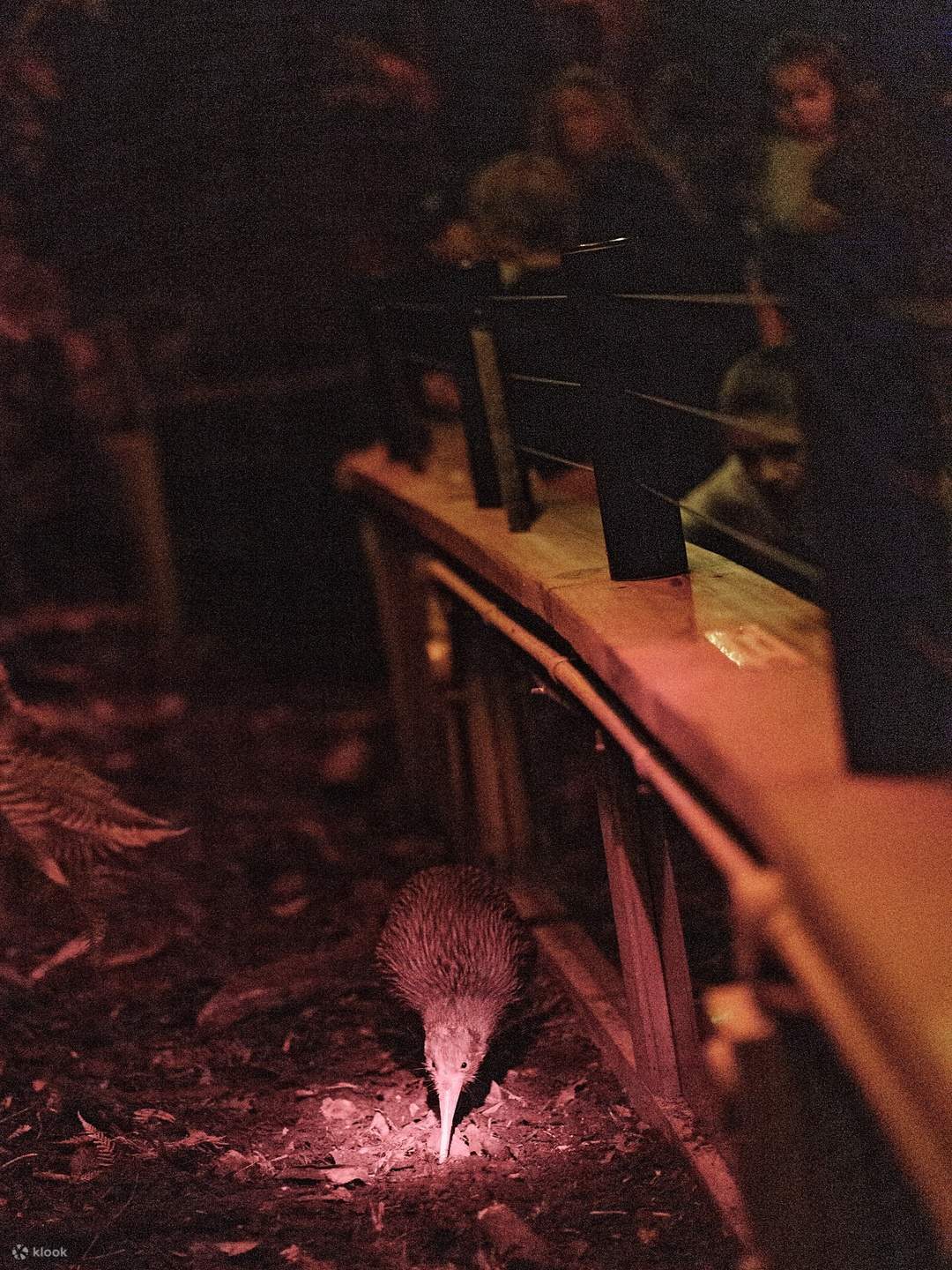 Vé Trung Tâm Động Vật Hoang Dã West Coast