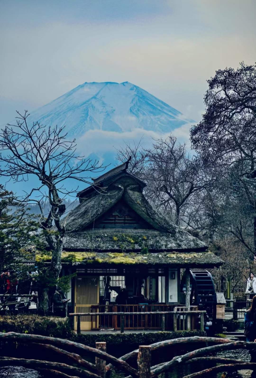 [Tokyo Limited Small Group] Tokyo Mount Fuji Onsen & Kawaguchiko ...