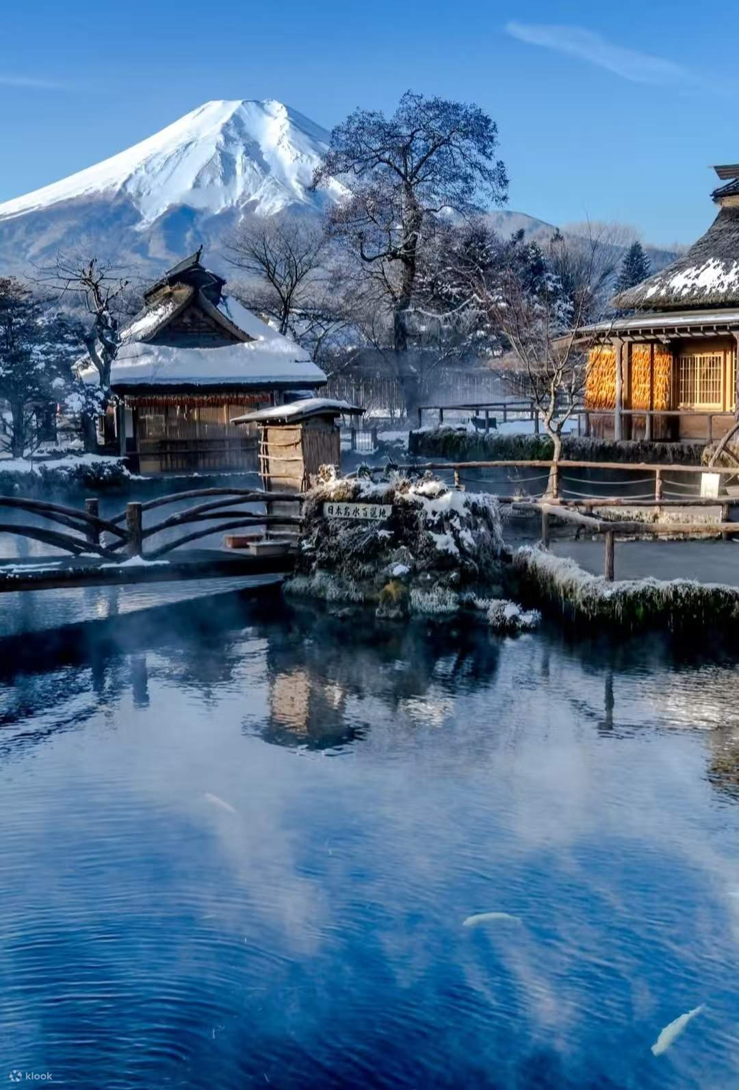 [Tokyo Limited Small Group] Tokyo Mount Fuji Onsen & Kawaguchiko ...