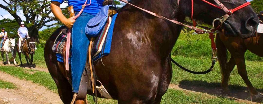 Reiten im Kualoa Ranch Jurassic Valley