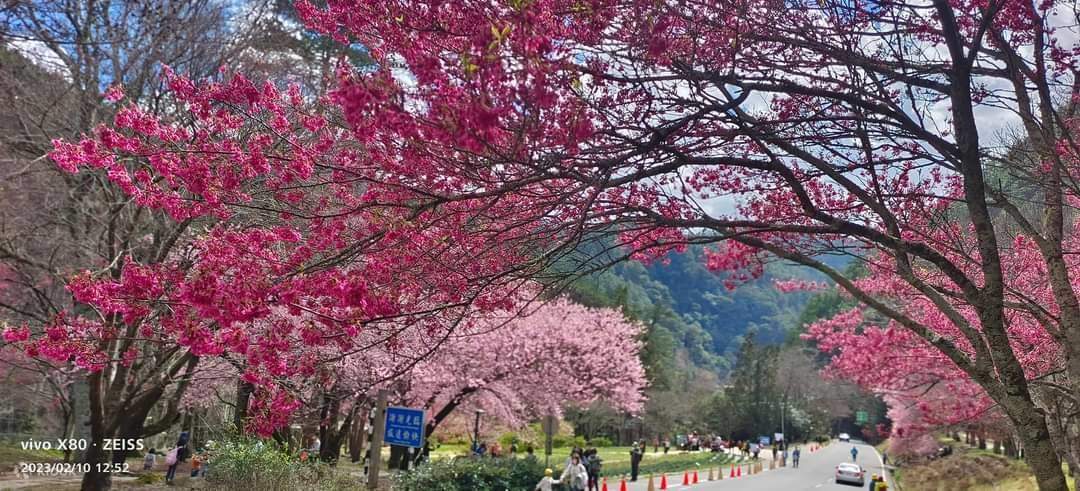 Wuling Farm Day Tour (From Taipei & Yilan) - Klook