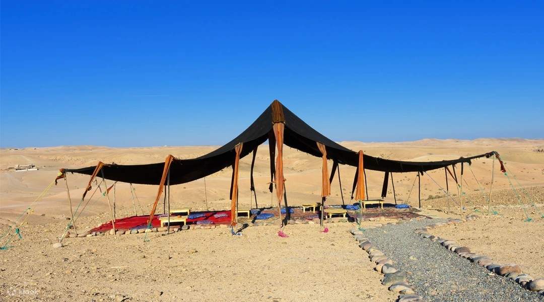 Pertunjukan Ekskursi & Makan Malam ke Agafay 