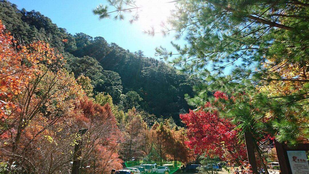 Wuling Farm Wuling Farm Day Tour from Taipei, Taiwan - Klook