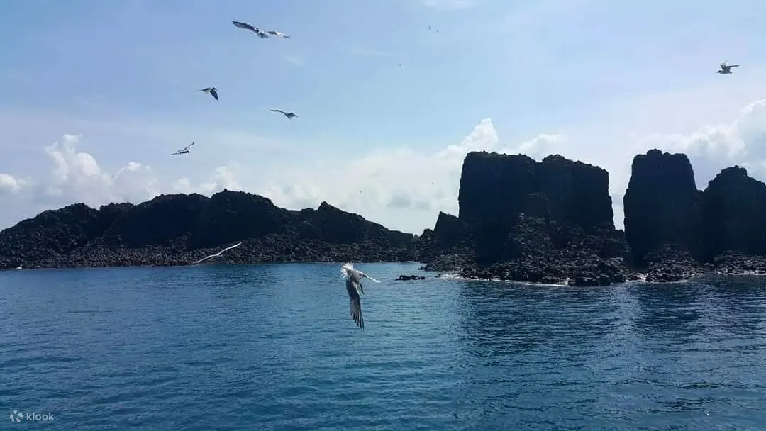 痛风也甘愿龙虾海上大平台