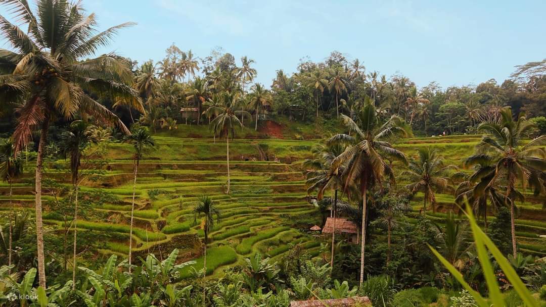 巴厘岛乌布洞穴漂流探险