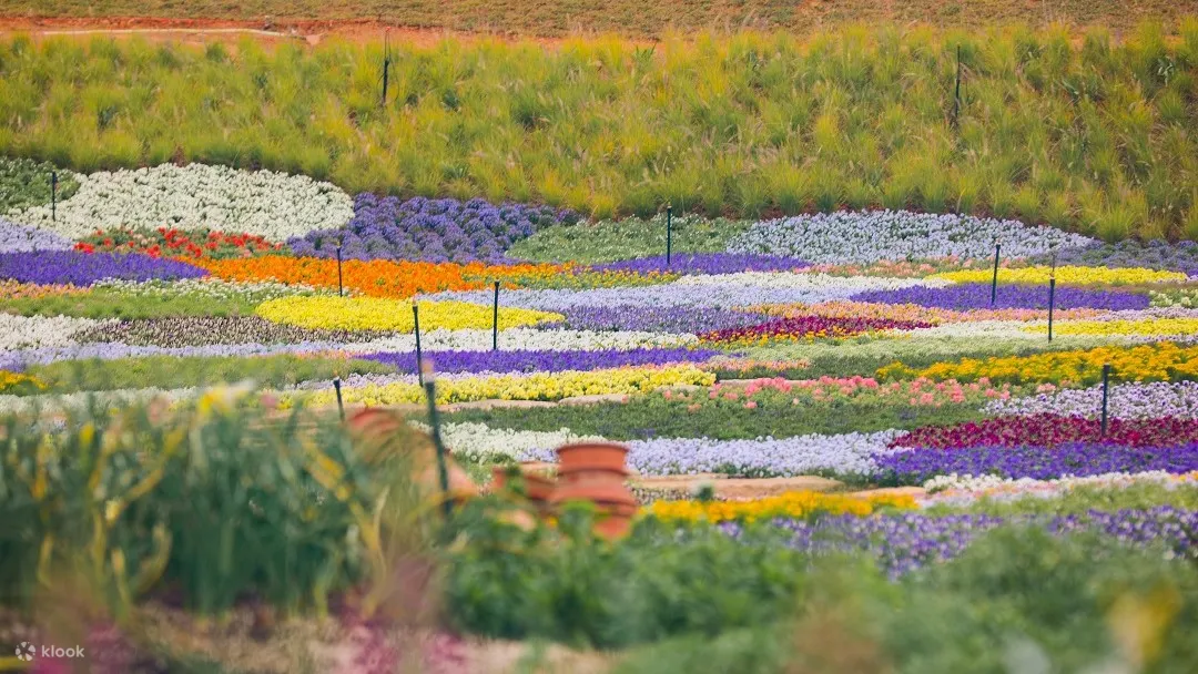 香遇百花园