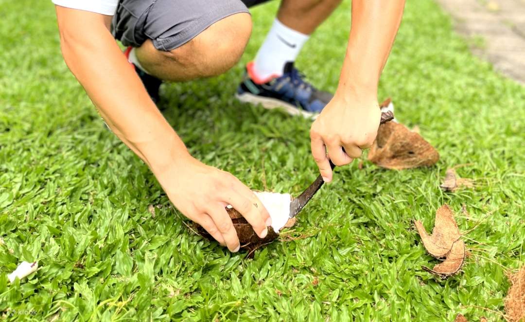 Proses Pembuatan Minyak Kelapa Tradisional di Bali