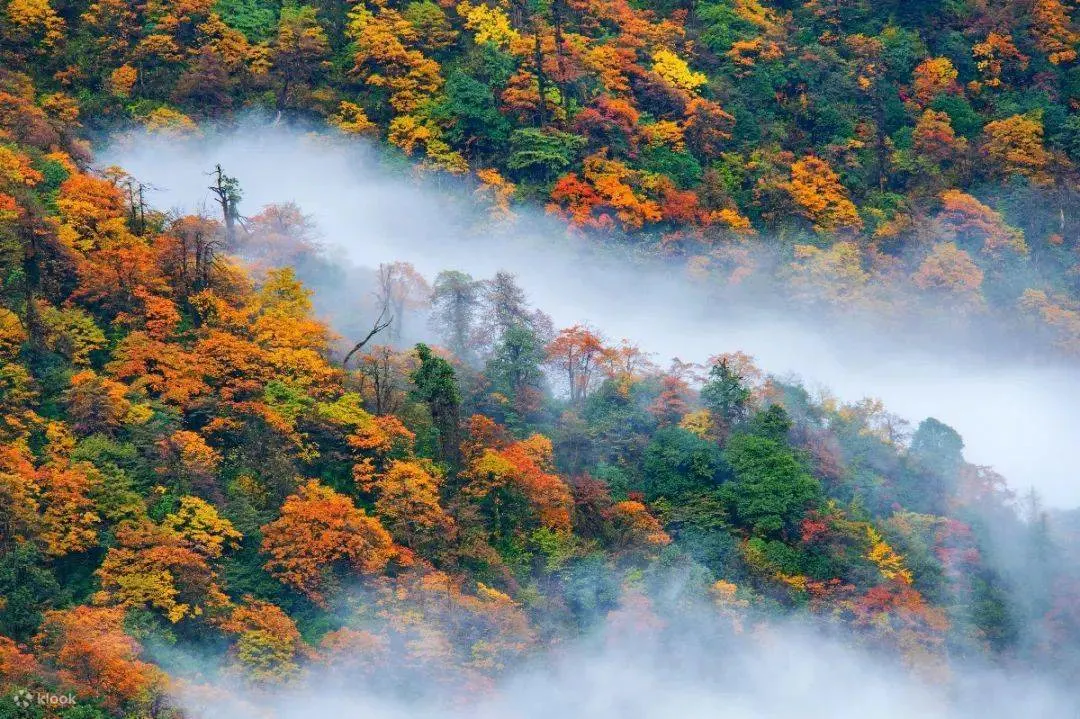 成都瓦屋山风景区门票