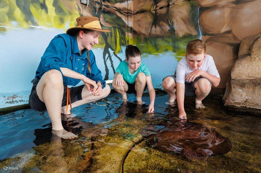 rencontre avec des animaux