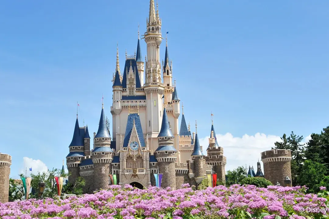 Disneyland