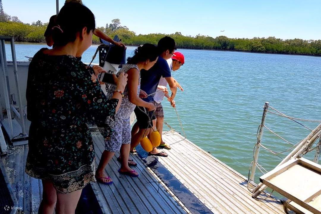 observation de crabes