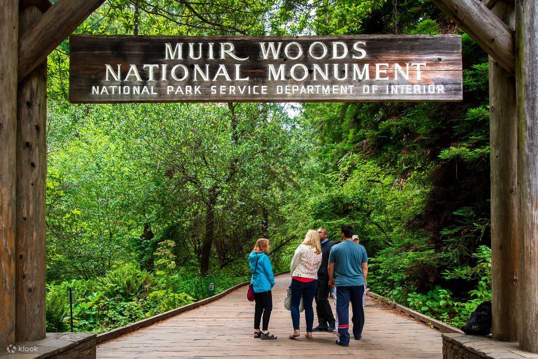 Muir Woods Redwood Forest e tour di Sausalito da San Francisco - Klook ...