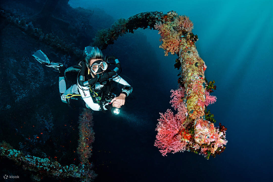 a diver with the coral