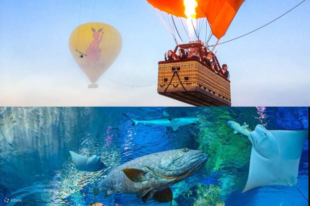 Abadikan momen matahari terbit yang menakjubkan di dalam belon udara panas, diikuti dengan pengembaraan akuarium