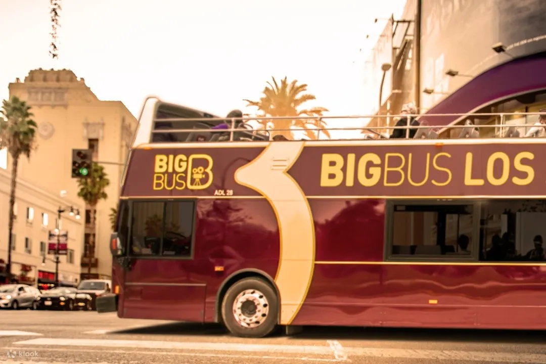 参加 Big Bus 随上随下旅游（敞篷），以自己的步调探索洛杉矶