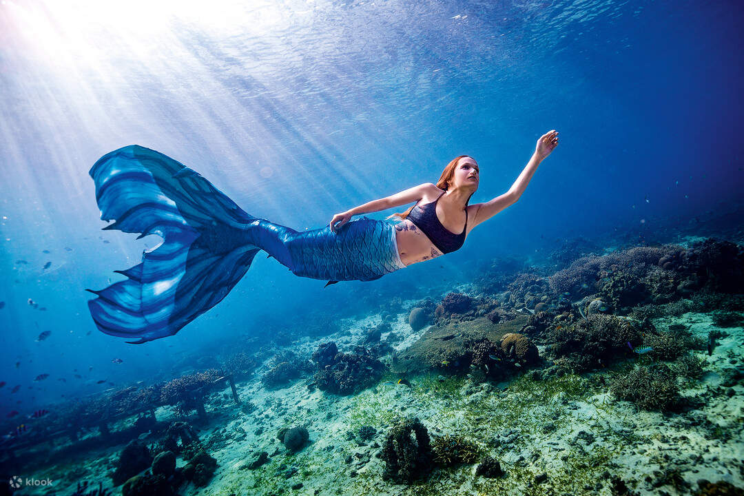 Discover Your Mermaid Side: SSI Try Mermaid Experience in Scuba School