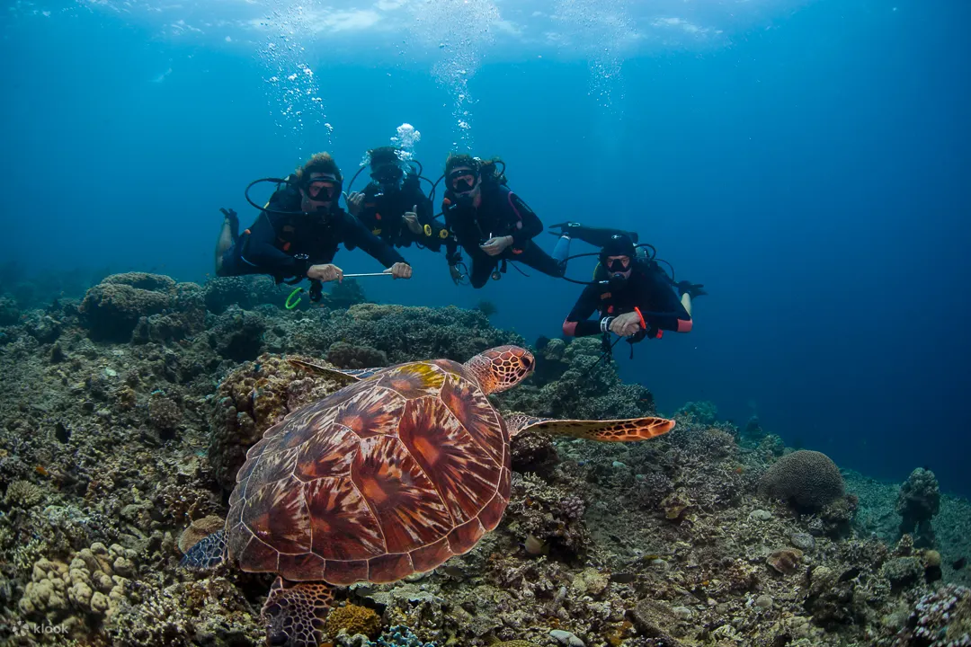 PADI 探索水肺潜水
