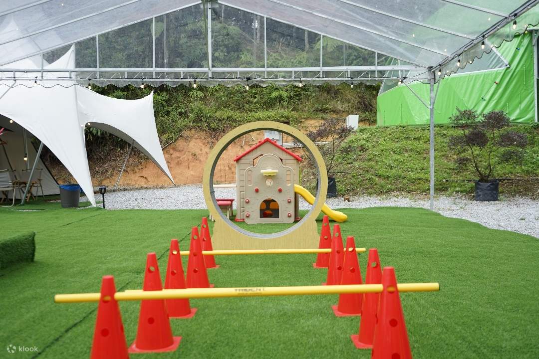 Expérience de Glamping de 2J/1N acceptant les animaux de compagnie à Genting Highlands chez iGo Glamz