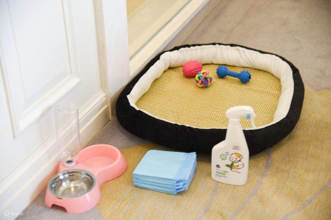 寵物友好主題房-狗狗專屬