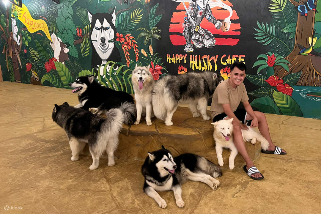 Aire de jeux du Happy Husky Café