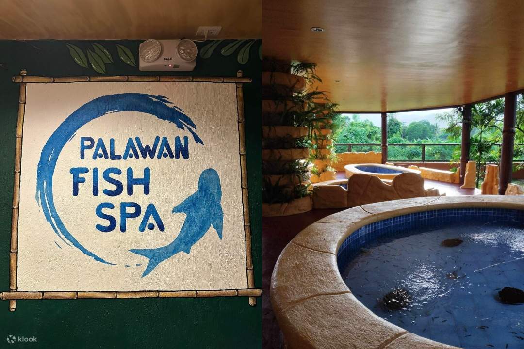 expérience de spa de poissons à Palawan