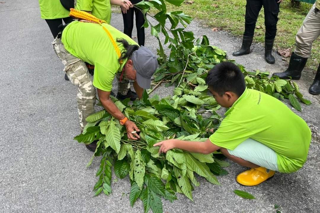 Trải nghiệm một ngày bảo tồn đười ươi ở Kuching, Sarawak