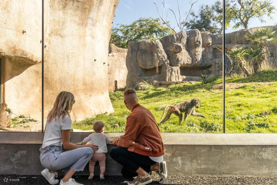 Famiglia che guarda gli animali allo zoo