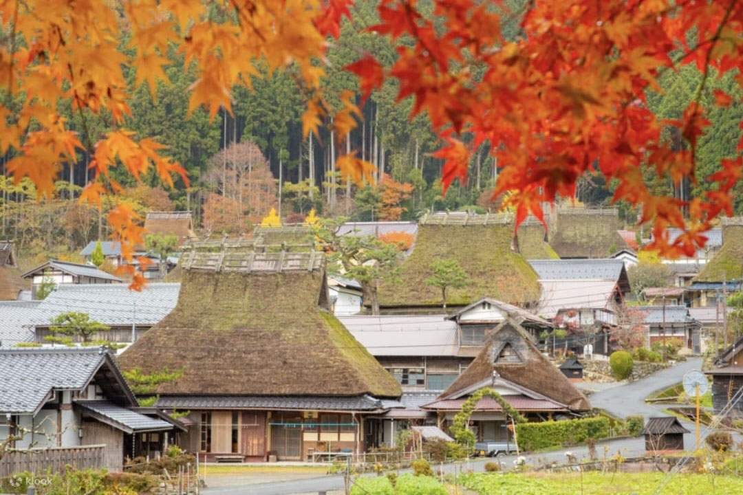 Kyoto: Excursió d'un dia a Ine no Funaya, Amanohashidate i el poble de ...