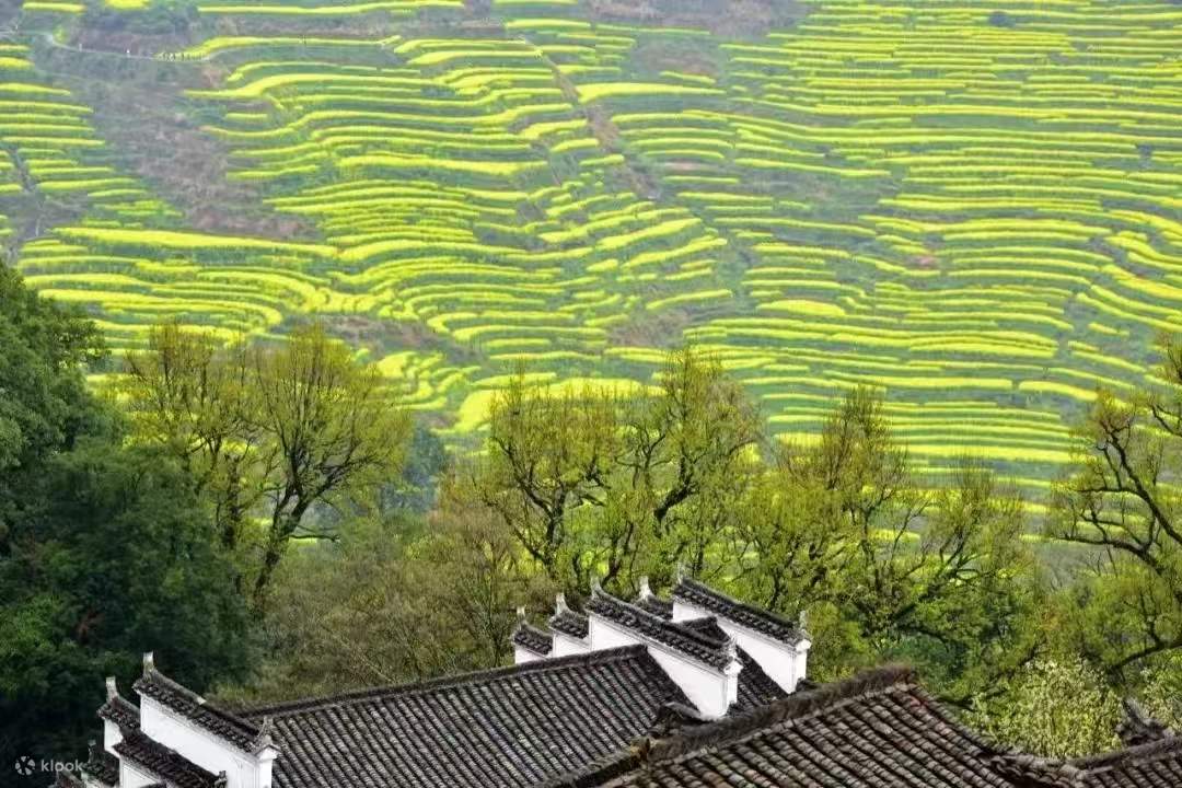 Jiangxi Shangrao Huangling + Likeng Jiangnan Spring Flower Viewing 1 ...