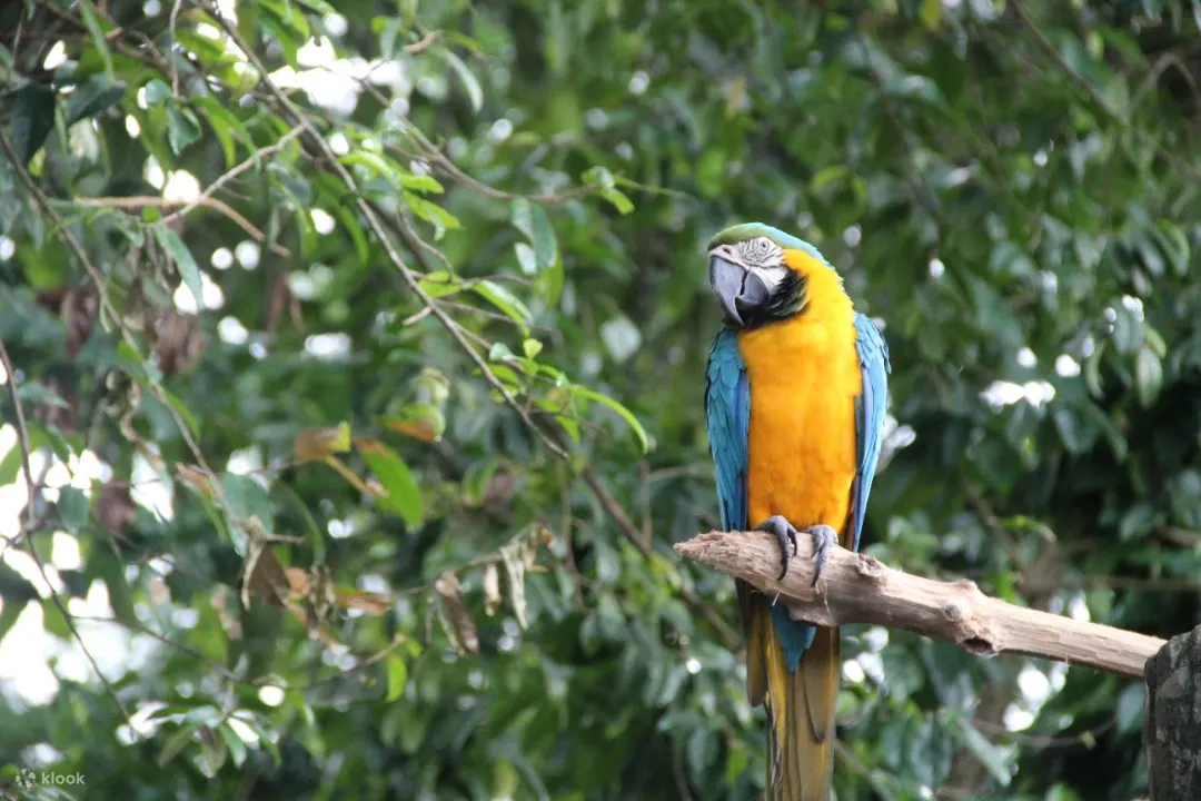 马六甲动物园 (melaka zoo)
