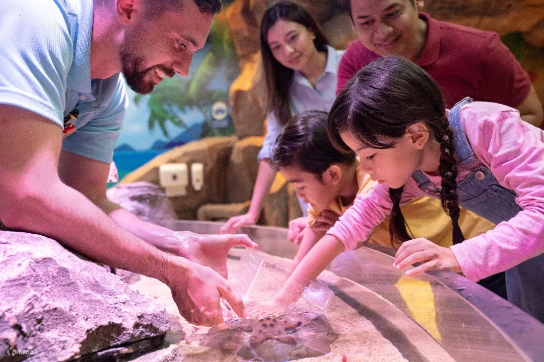 Guide teaching and guiding children about sea creatures