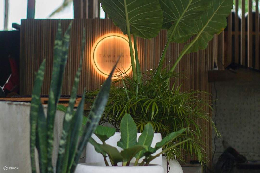 plantas en macetas frente a un letrero de taw hay gym