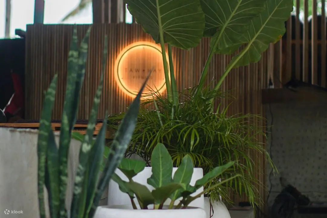 potted plants in front of a sign of taw hay gym