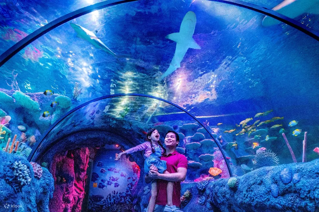 legoland sea life attraction