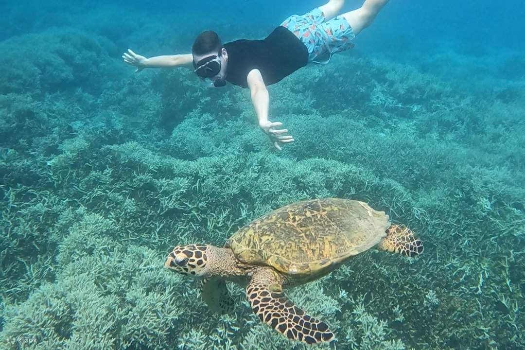 Gili Trawangan, Gili Meno, and Gili Air Snorkeling Tour from Bali