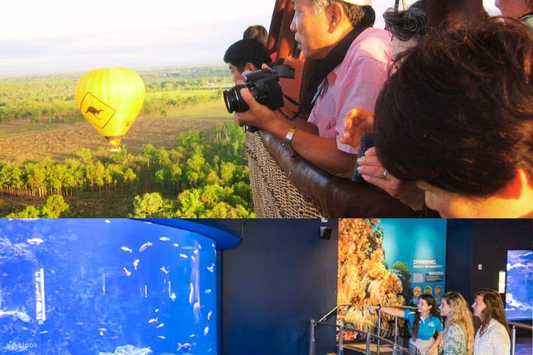 翱翔於綠意盎然的阿瑟頓高原 (Atherton Tablelands) 上空，接著在水族館探索奇妙的海底世界